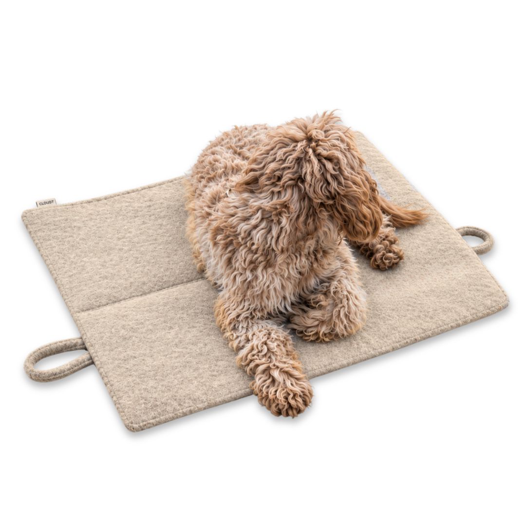 Laboni-Hundereisedecke-Feltro-Beige-Hund