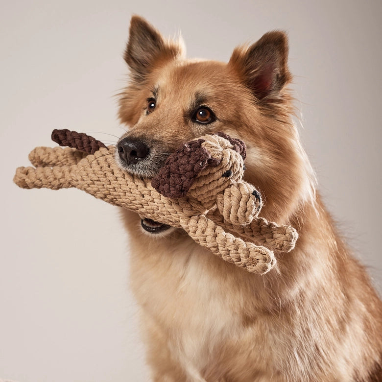 Laboni-Hundespielzeug-Doggy-Dog-3