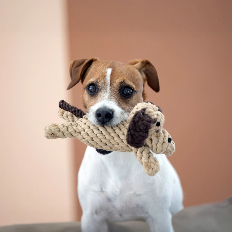 Laboni-Hundespielzeug-Doggy-Dog-Junior-4