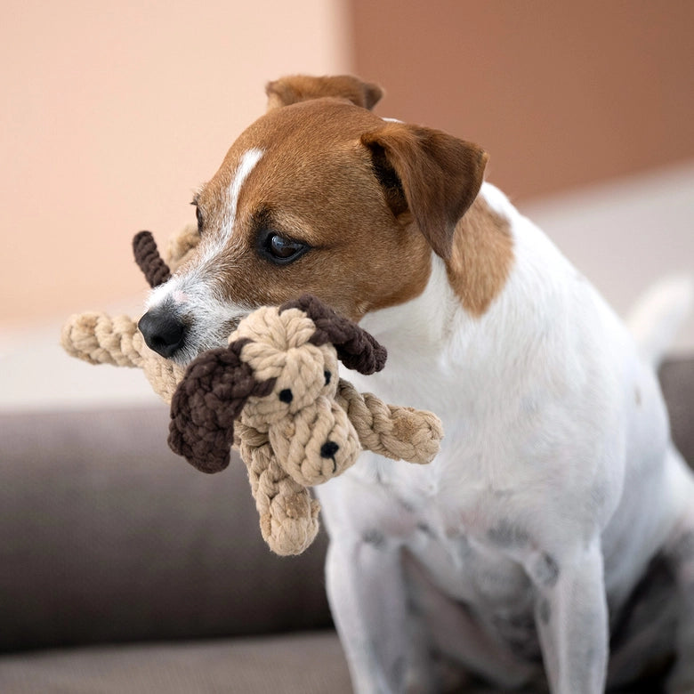 Laboni-Hundespielzeug-Doggy-Dog-Junior-5