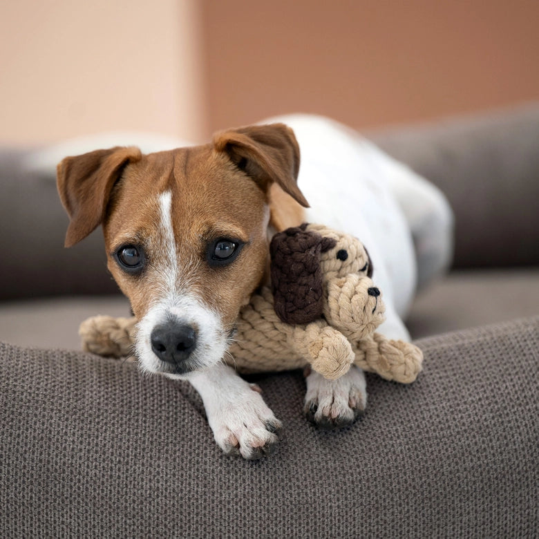 Laboni-Hundespielzeug-Doggy-Dog-Junior-8