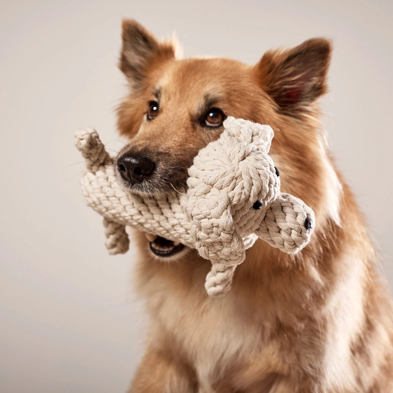 Laboni-Hundespielzeug-Richie-Retriever-2