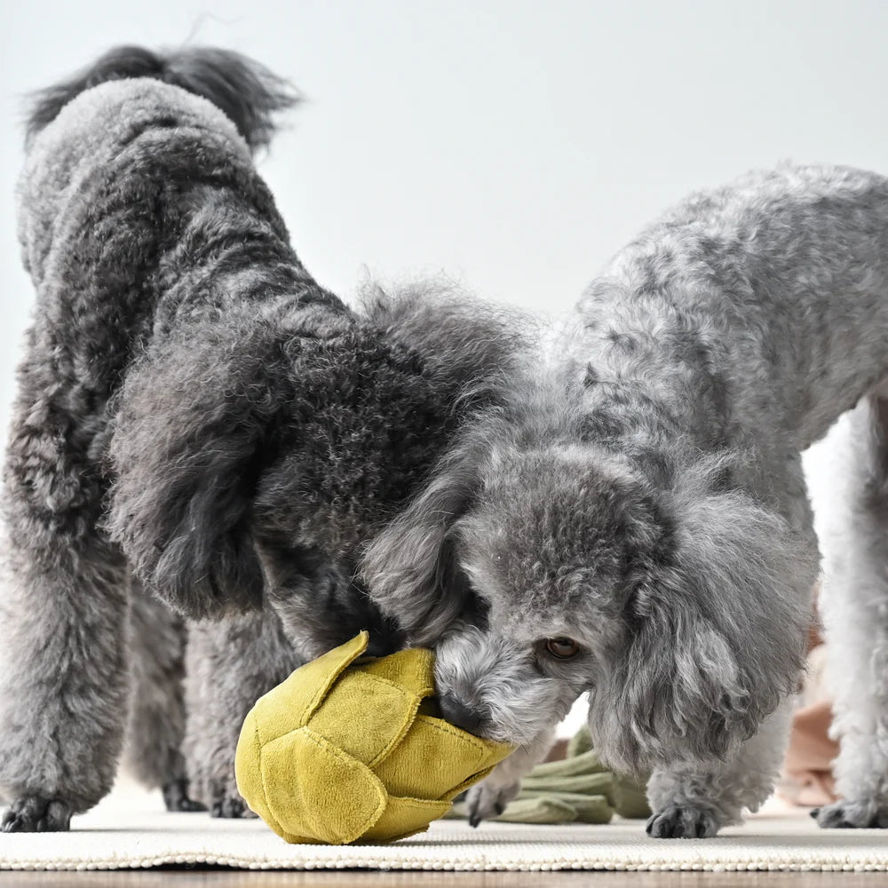 Lambwolf-Hundespielzeug-Artischocke-Hunde