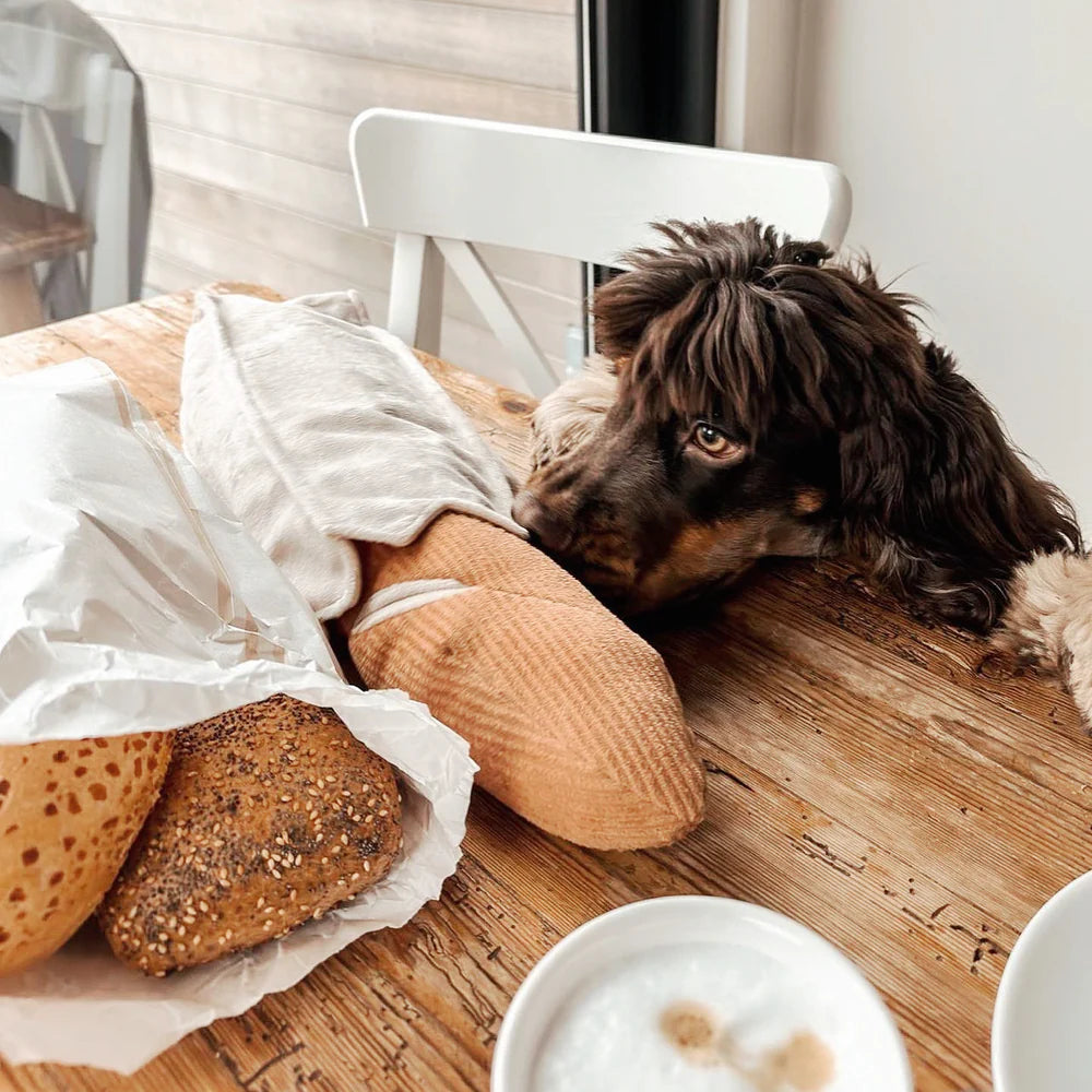 Lambwolf-Hundespielzeug-Baguette-Mood