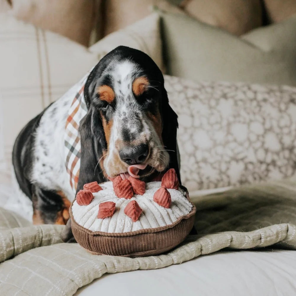 Lambwolf-Hundespielzeug-Berrie-Pie-Hund2