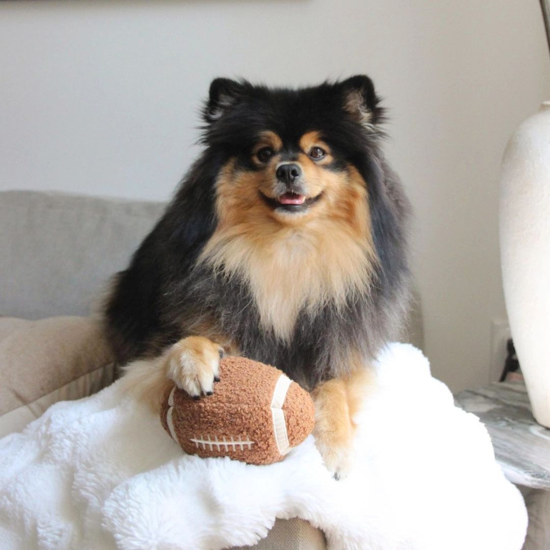 Lambwolf-Hundespielzeug-Football-4