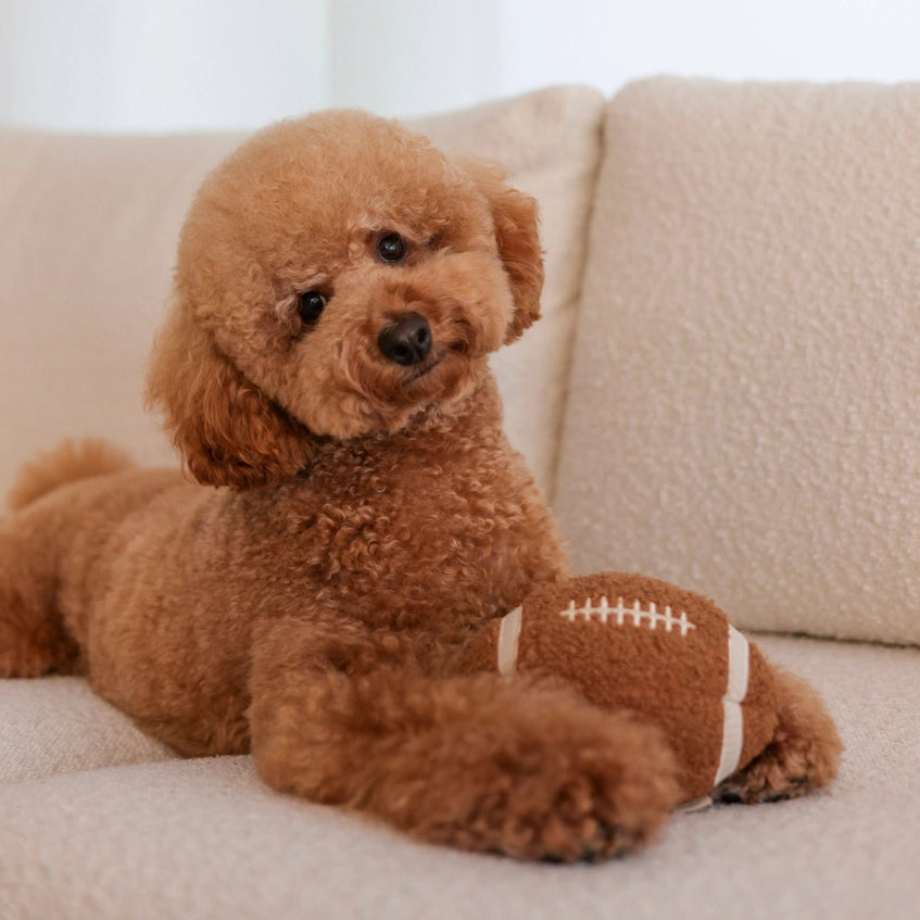 Lambwolf-Hundespielzeug-Football-6