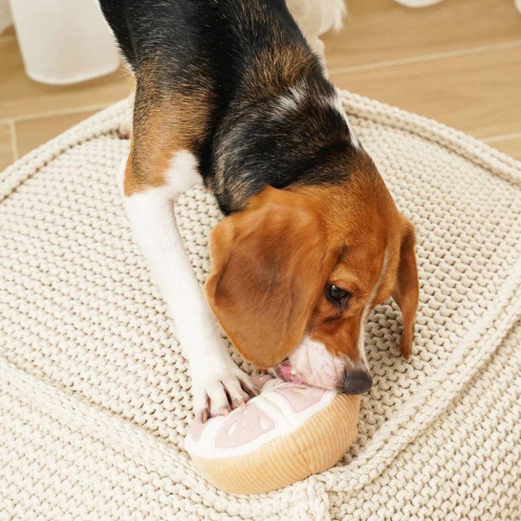 Lambwolf-Hundespielzeug-Grapefruit-Mood2
