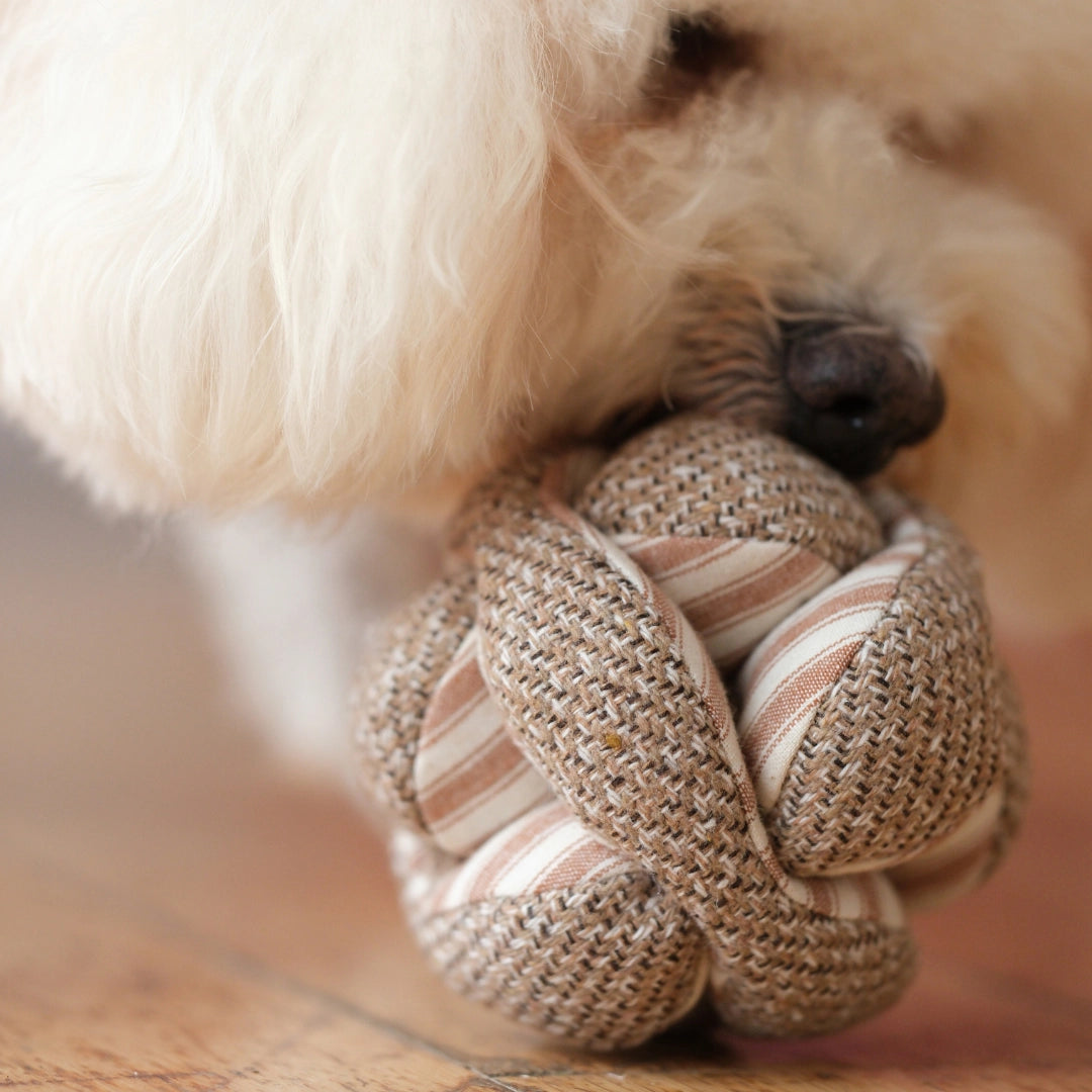 Lambwolf-Mini-Monti-Schnüffelball-Expresso-Mood