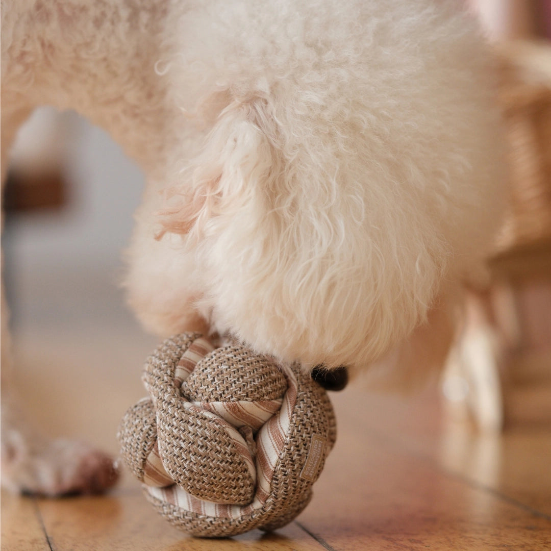 Lambwolf-Mini-Monti-Schnüffelball-Expresso-Mood2