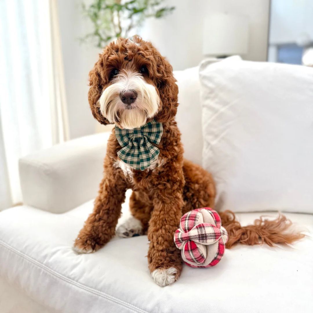 Lambwolf-Schnüffelball-Monti-Flanell-Xmas-Hund