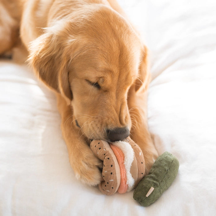 Lambwolf-Schnüffelspielzeug-Bagel-Gurke-Mood4