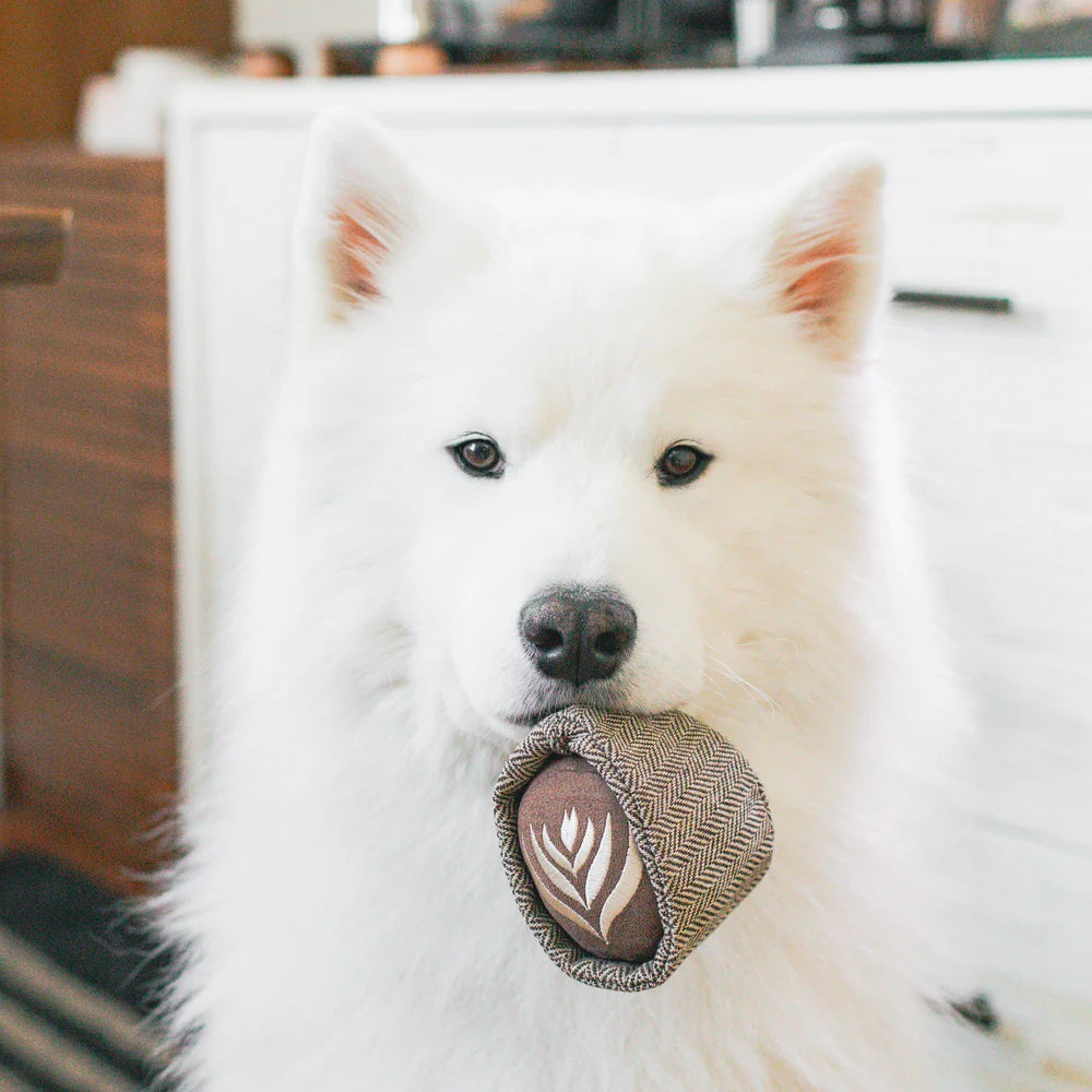 Lambwolf-Schnüffelspielzeug-Latte-Pop-Hund2