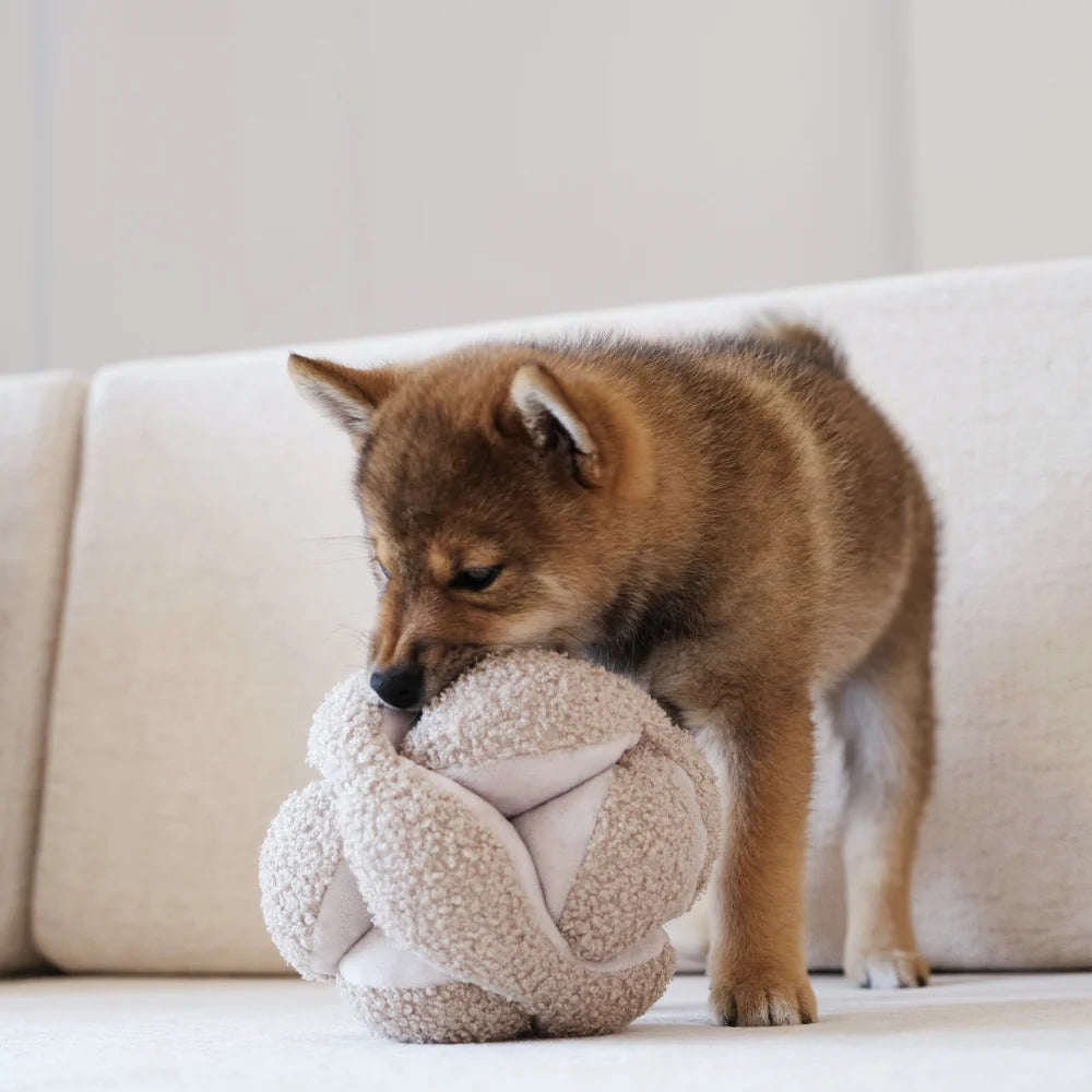 Lambwolf-Schnüffelspielzeug-Schnüffelball-Monti-Hafer-Hund2