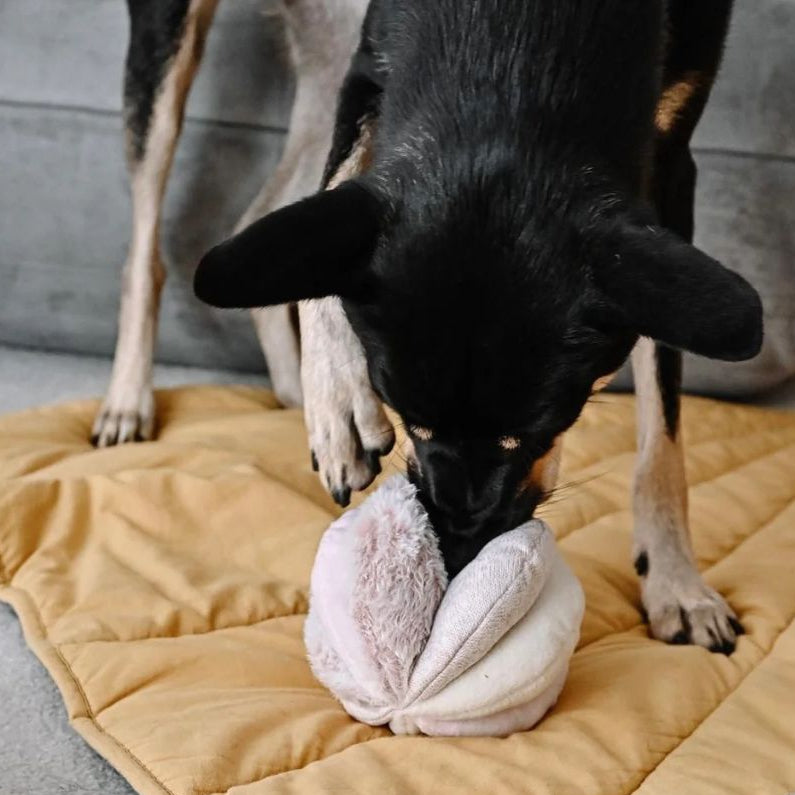Lambwolf-Schnüffelspielzeug-Schnüffelball-Toto-Pink-Mood-2