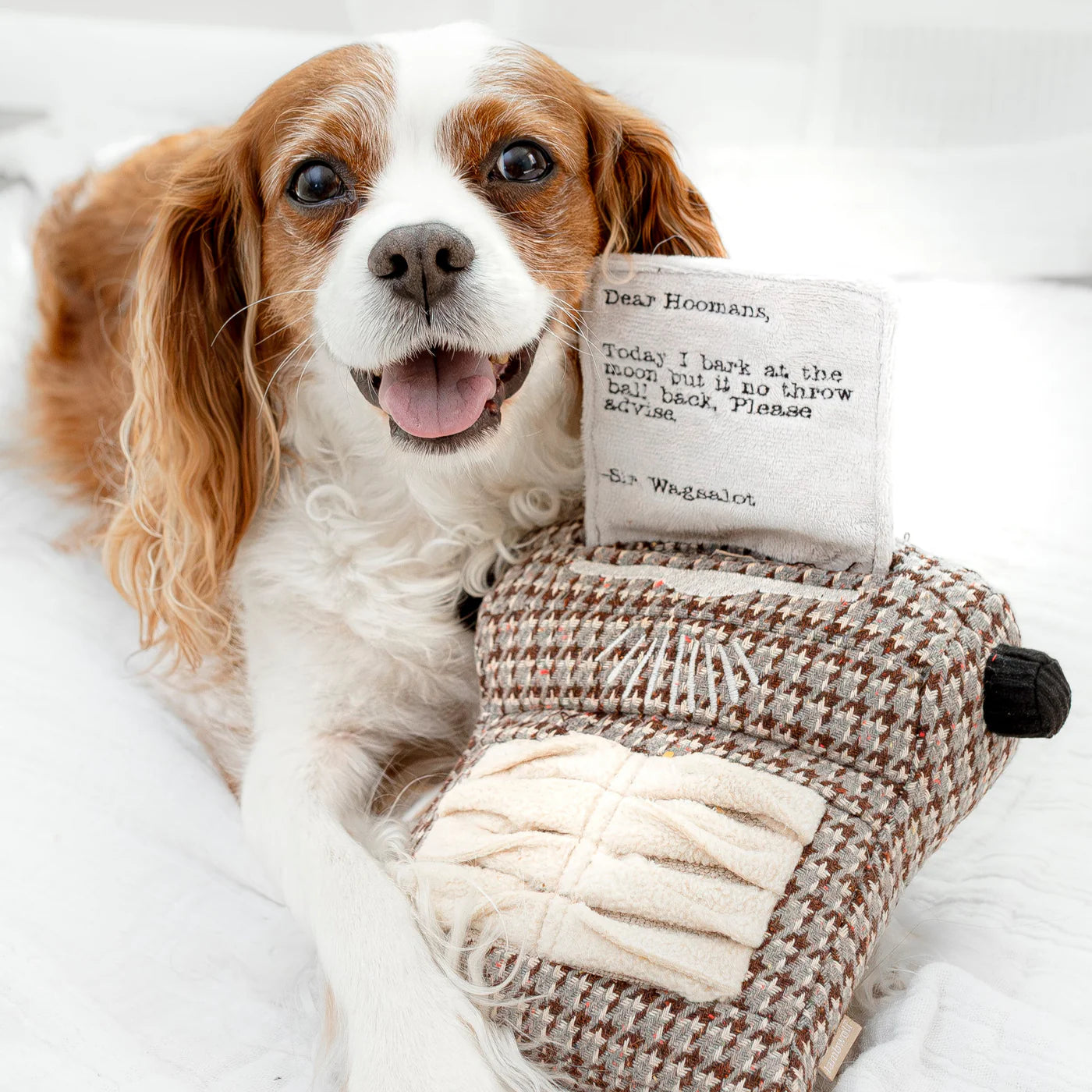 Lambwolf-Schnüffelspielzeug-Schreibmaschine-Mood3