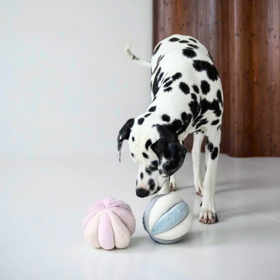 Lambwolf-Schnueffelspielzeug-Toto-Marine-Pink