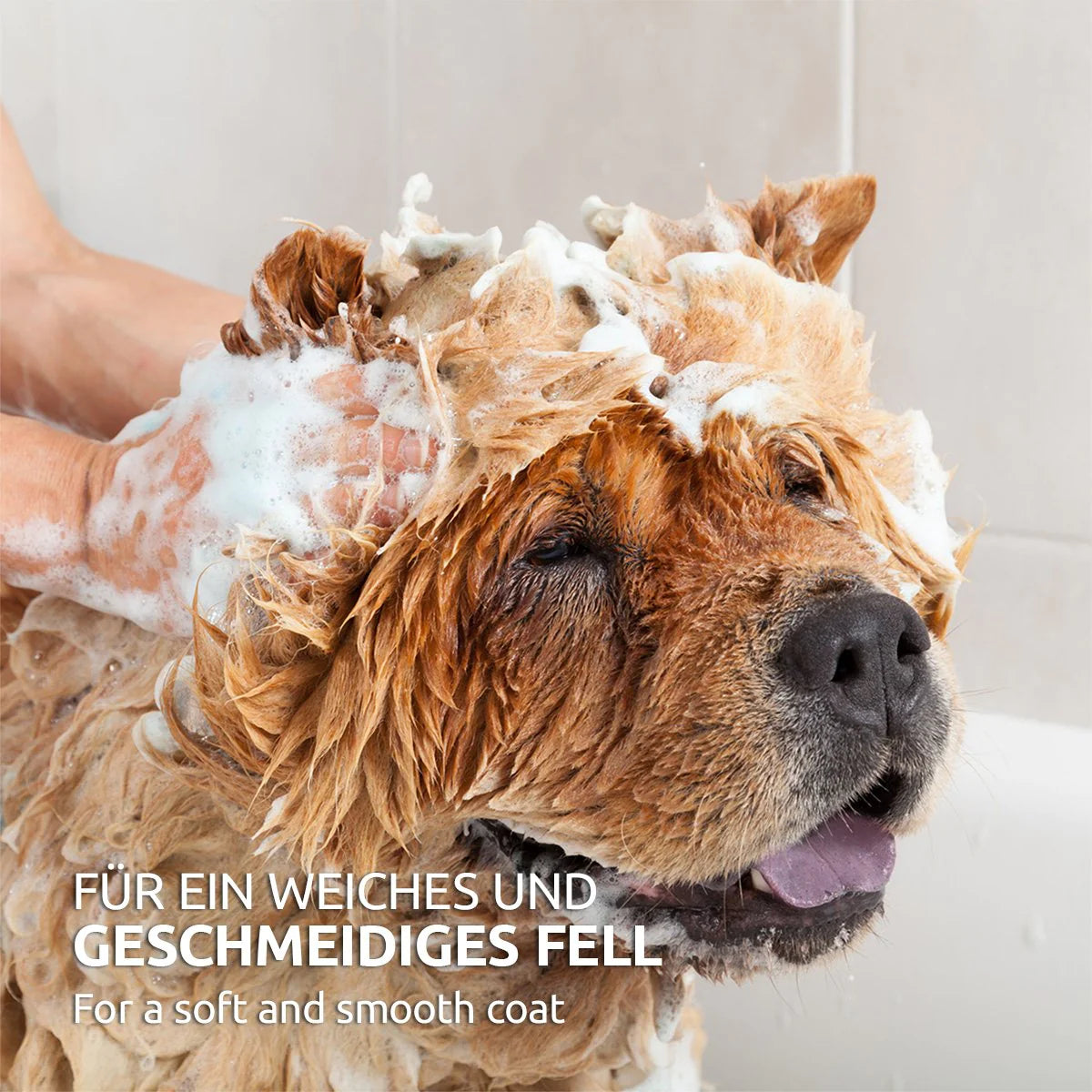 Aniforte-Fellharmonie-Hundeshampoo-Sensitiv-Mood