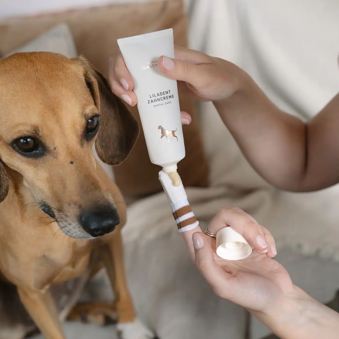 Lila-Loves-It-Liladent-Zahncreme-Hund-Mood