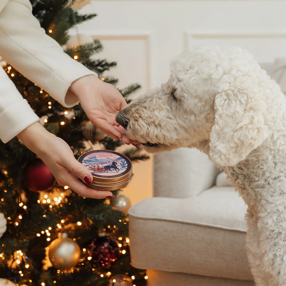 Lila-Loves-It-Weihnachts-Goodies-Vanillesterne-Mood