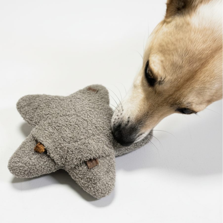 Lillabel-Woofstuff-Schnueffelstern-Mood4