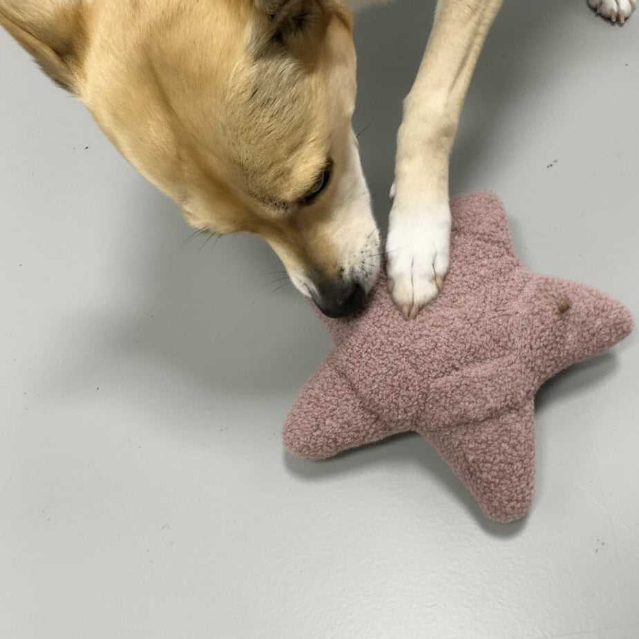 Lillabel-Woofstuff-Schnueffelstern-Rose-Mood