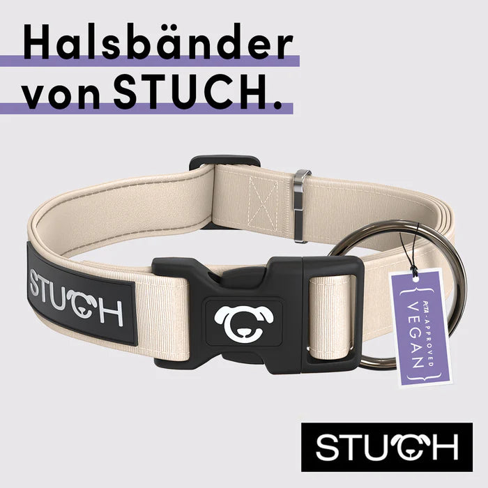 Stuch-gepolstertes-Hundehalsband-Beige-Info