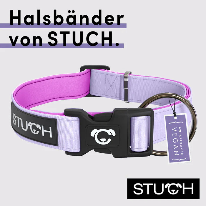 Stuch-gepolstertes-Hundehalsband-Flieder-Info