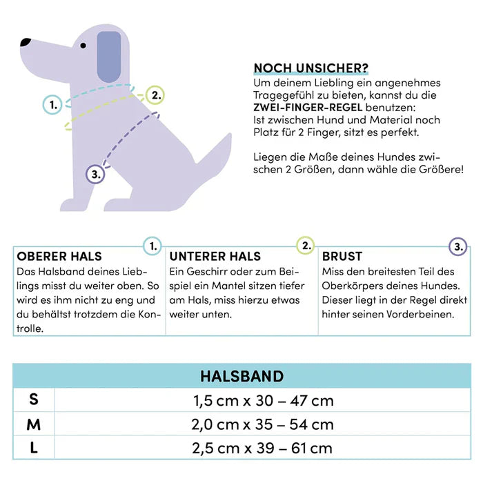 Stuch-gepolstertes-Hundehalsband-Größentabelle