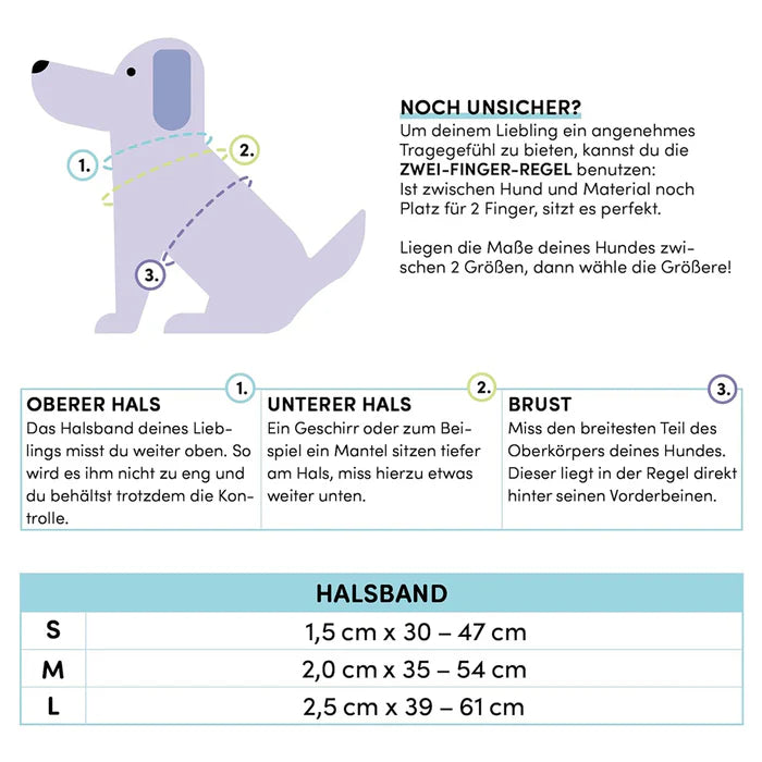 Stuch-gepolstertes-Hundehalsband-Größentabelle