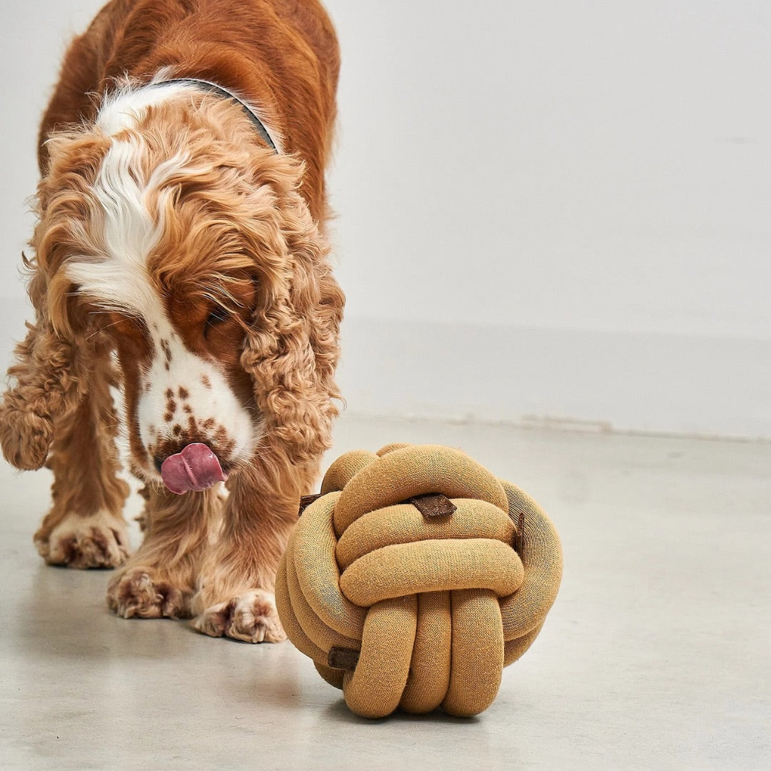 MiaCara-Beschäftigungsspielzeug-Tubo-Curry-Hund