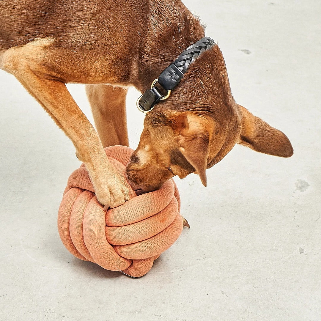 MiaCara-Beschäftigungsspielzeug-Tubo-Dusty-Orange-Hund