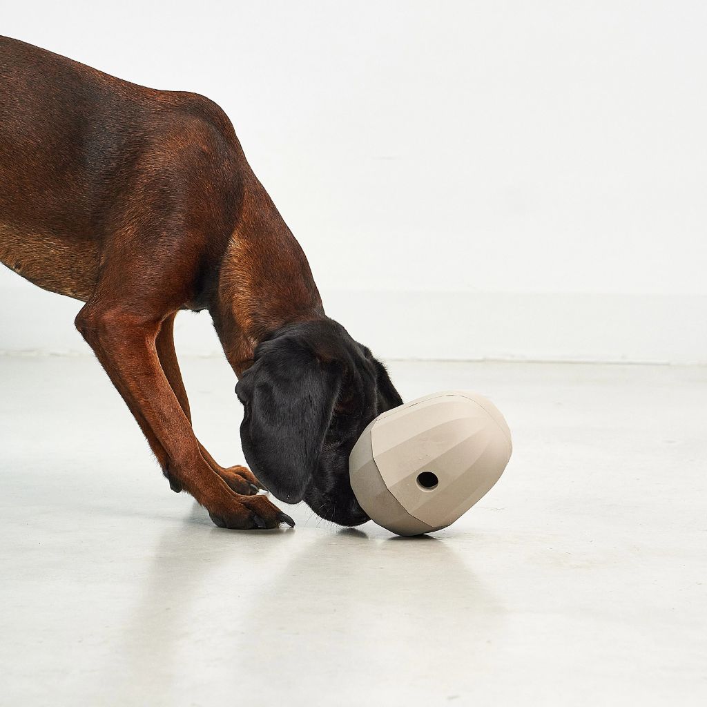 MiaCara-Beschäftigungsspielzeug-Uovo-Mood5