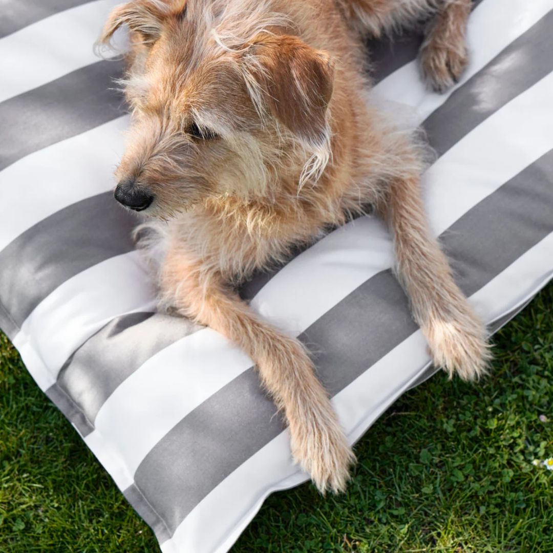 MiaCara-Giardino-Hundekissen-Outdoor-OffWhite-Kiesel-Hund-2