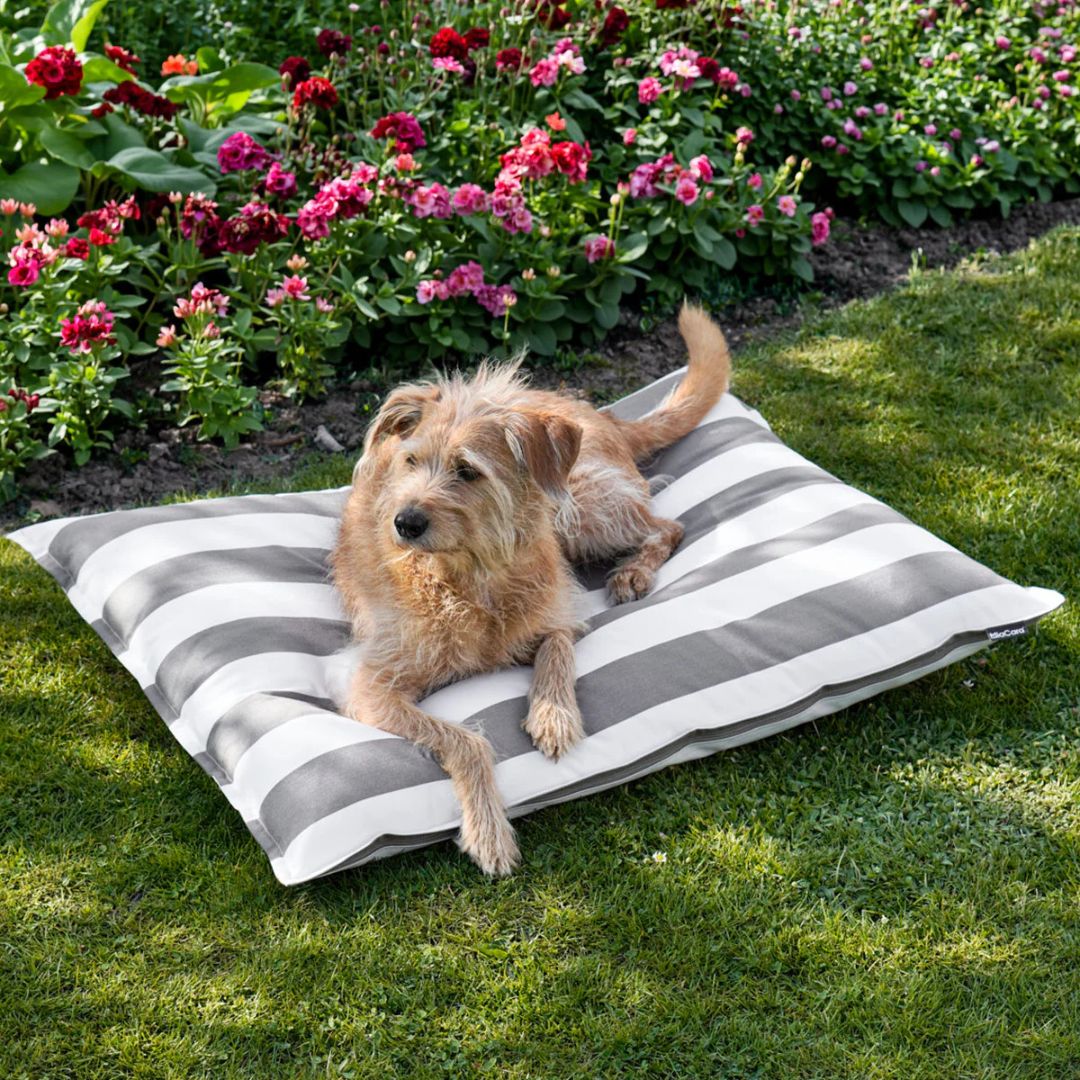 MiaCara-Giardino-Hundekissen-Outdoor-OffWhite-Kiesel-Hund