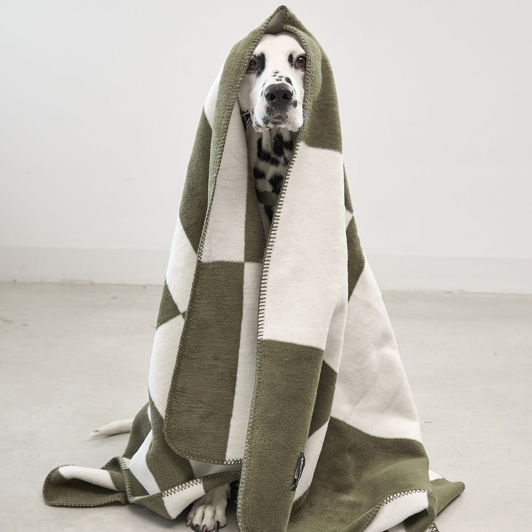 MiaCara-Hundedecke-Blocco-Grolive-Natur-Hund