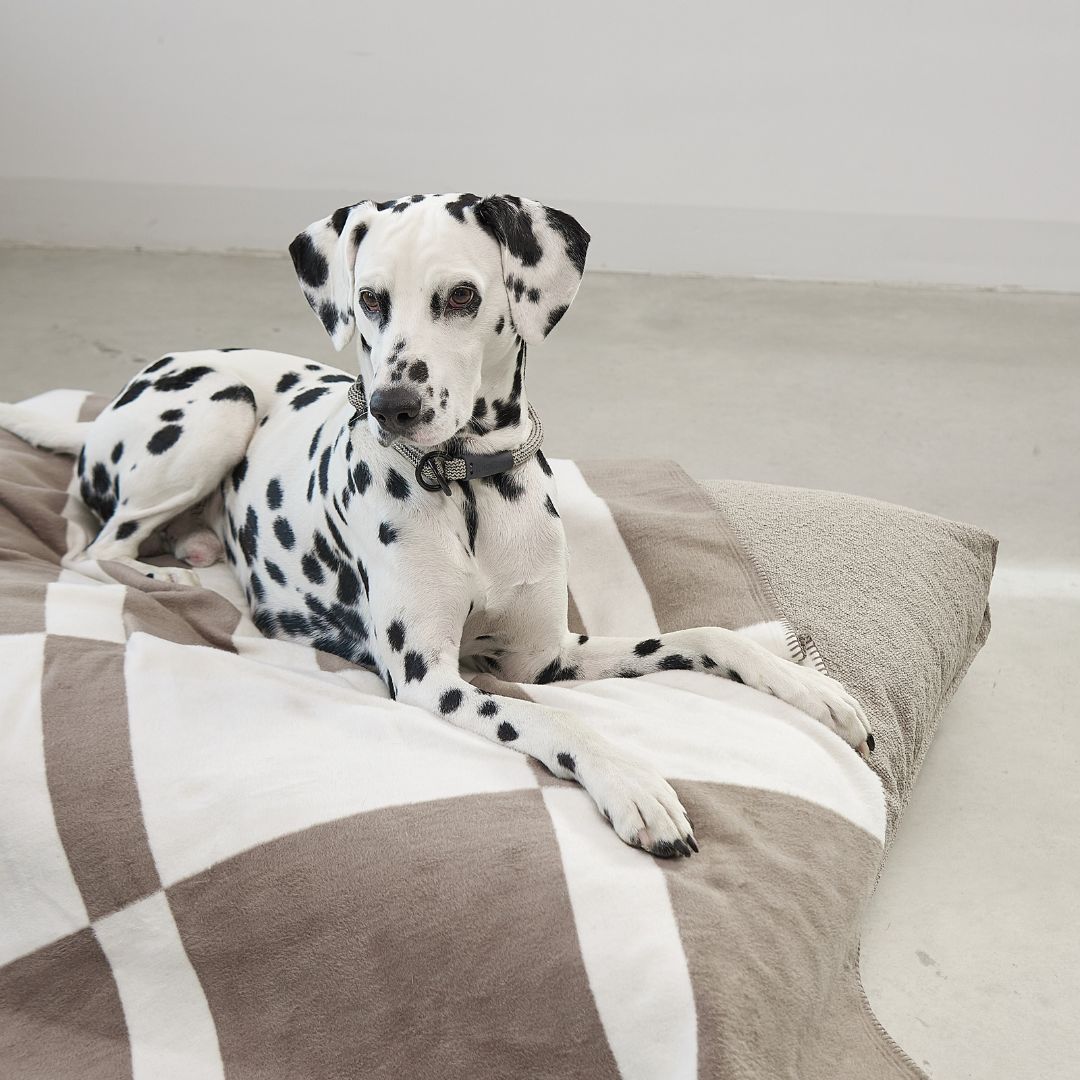 MiaCara-Hundedecke-Blocco-Taupe-Natur-Hund