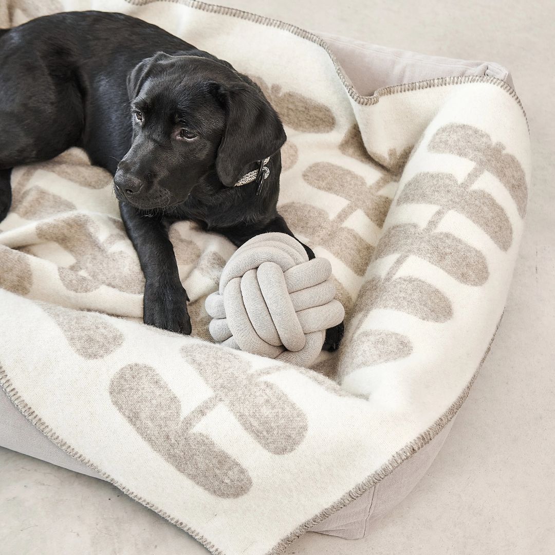 MiaCara-Hundedecke-Flora-Cappuccino-Natur-Mood