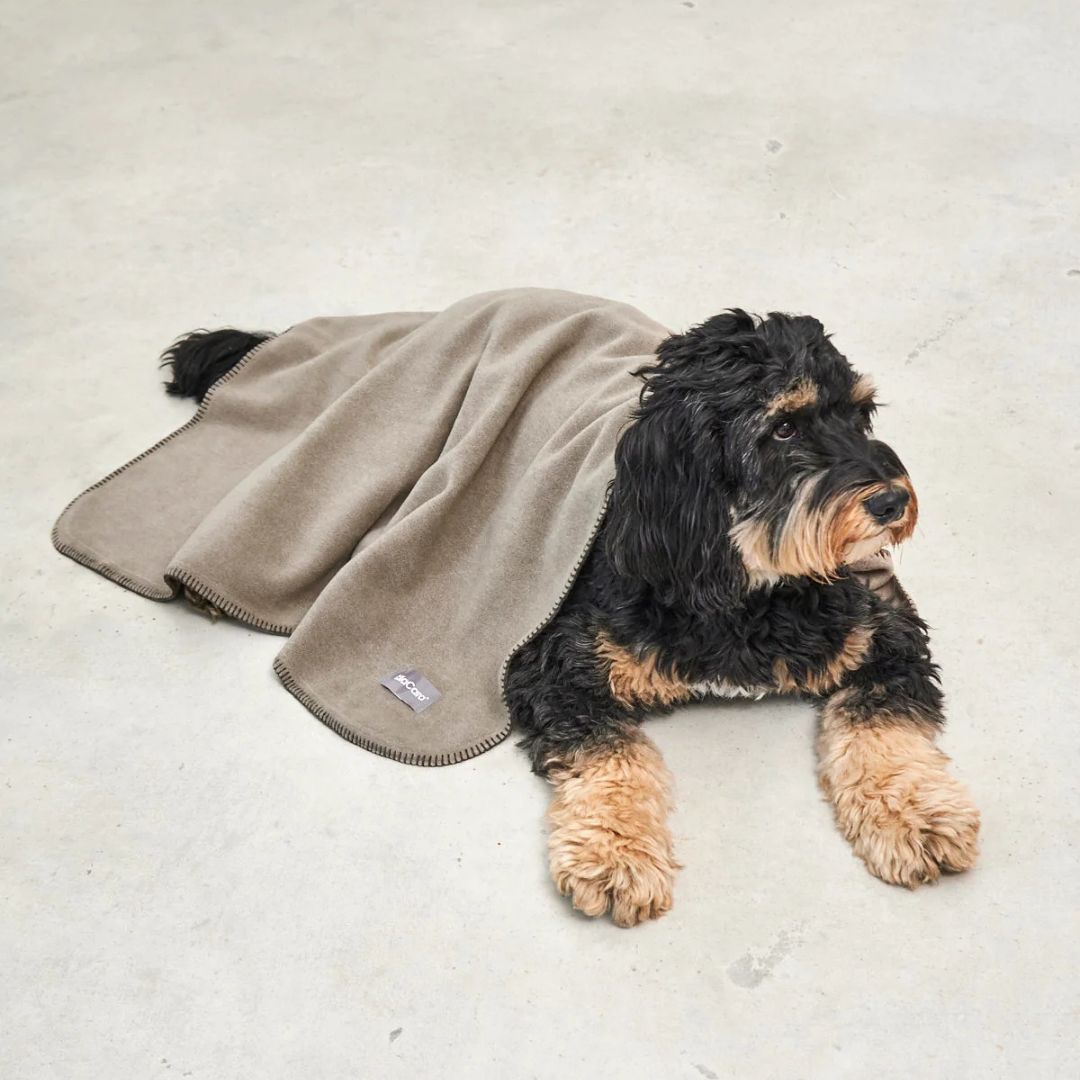 MiaCara-Hundedecke-Unica-Kakao-2