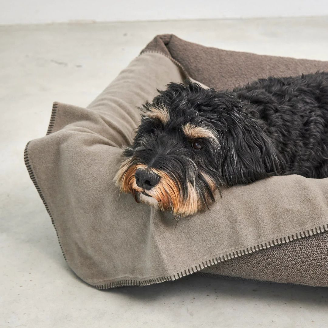 MiaCara-Hundedecke-Unica-Kakao-3
