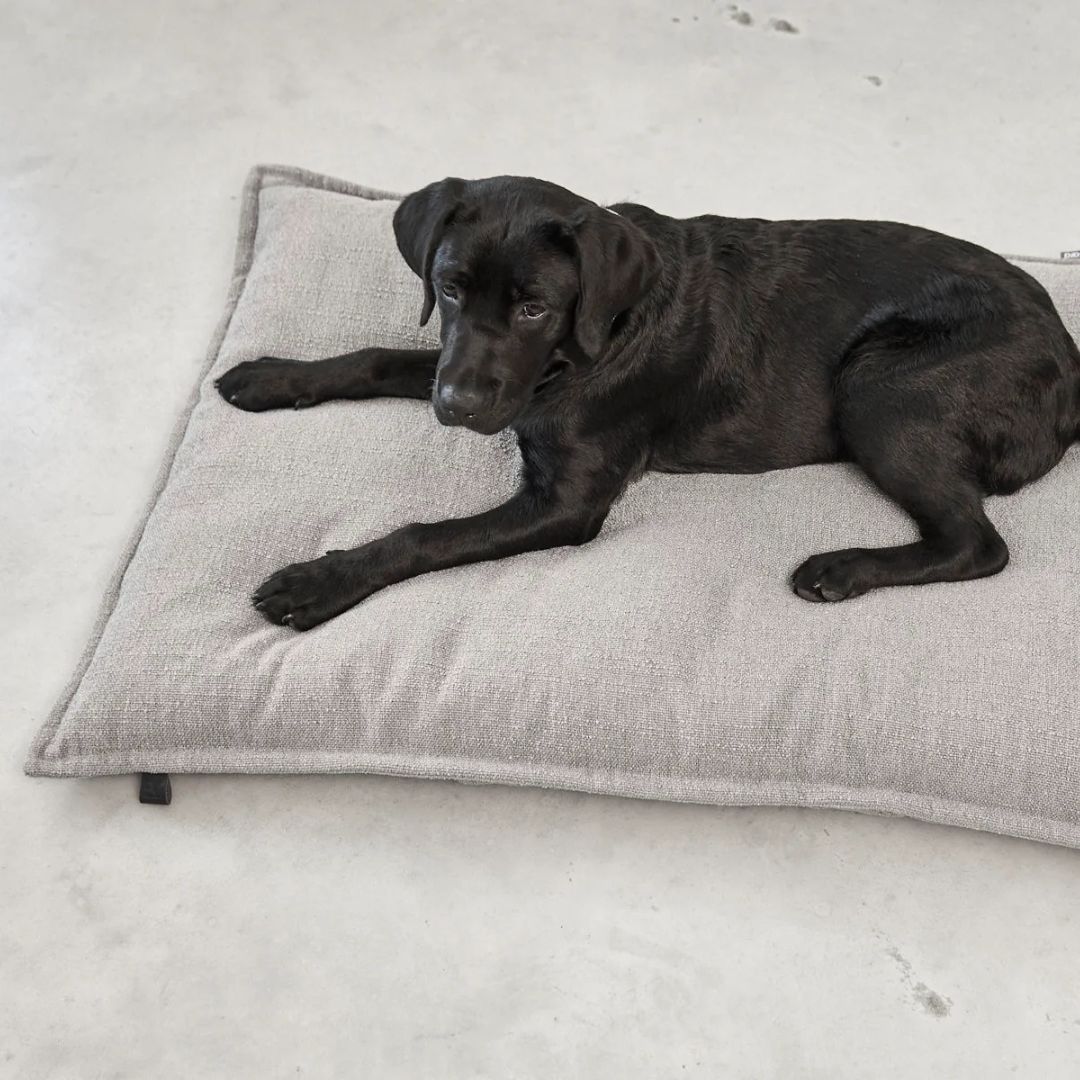 MiaCara-Hundekissen-Campo-Kiesel-Hund