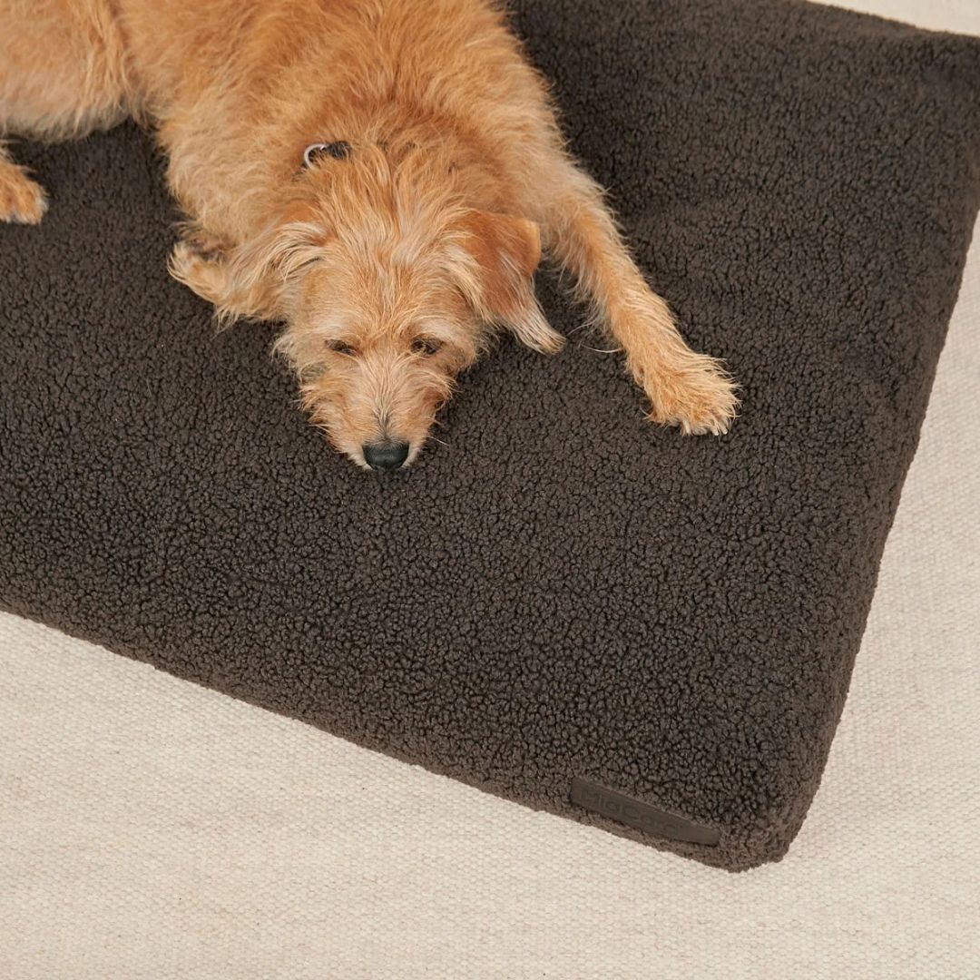 MiaCara-Hundekissen-Senso-Schokolade-Mood2