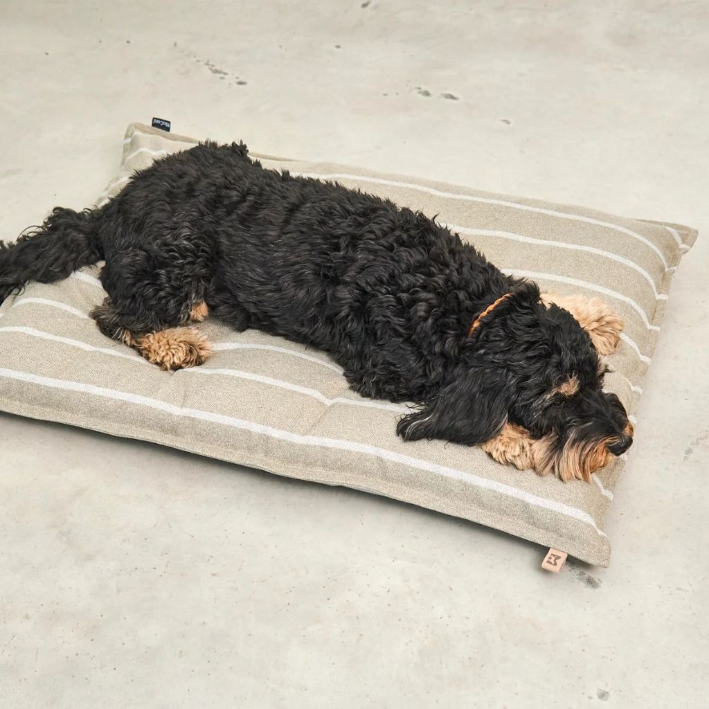 MiaCara-Hundekissen-Slim-Riga-Sand-Greige-Hund