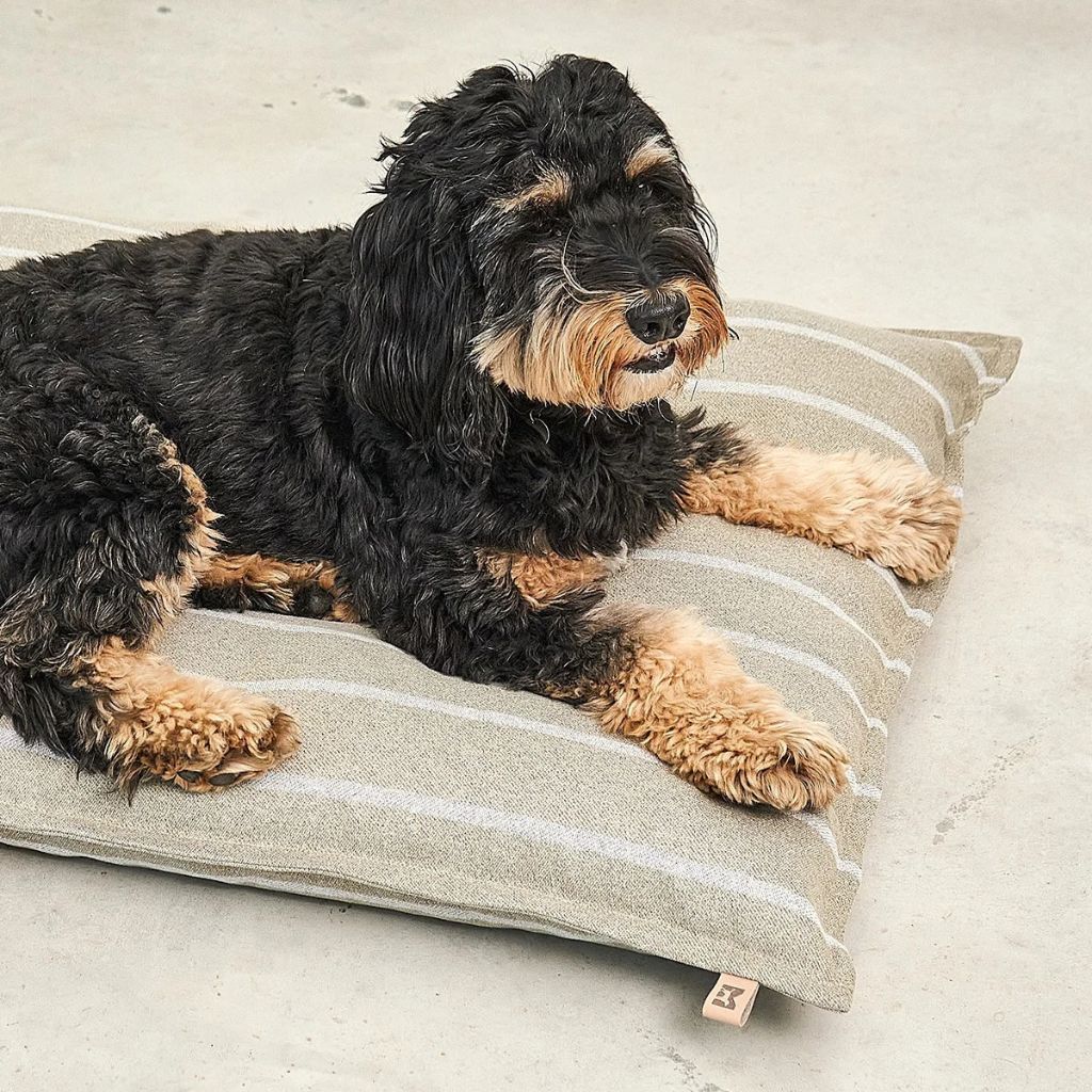 MiaCara-Hundekissen-Slim-Riga-Sand-Greige-Hund2