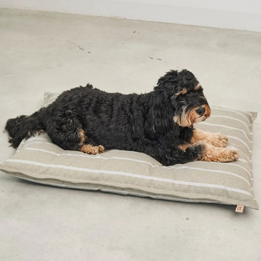 MiaCara-Hundekissen-Slim-Riga-Sand-Greige-Hund3