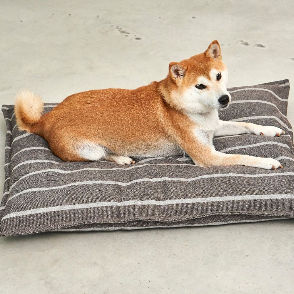 MiaCara-Hundekissen-Slim-Riga-Schokolade-Greige-Hund2