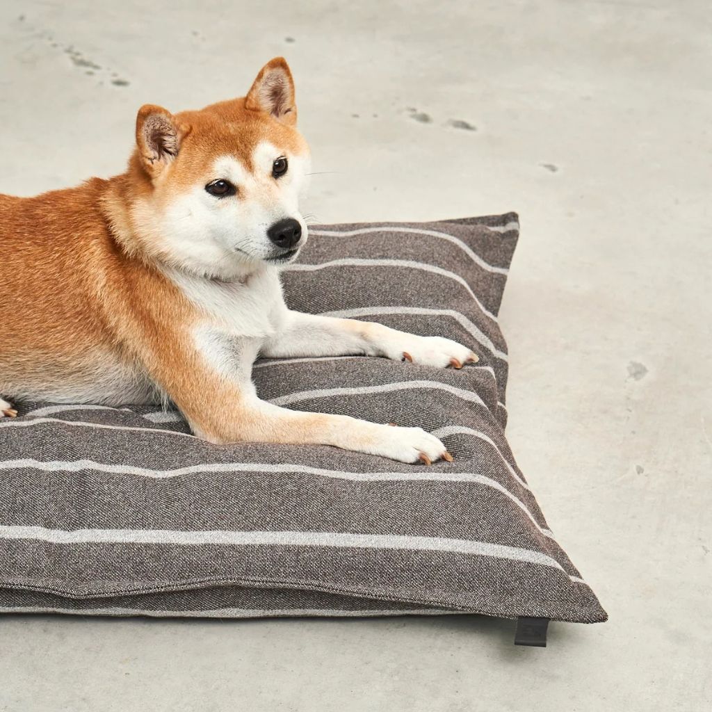 MiaCara-Hundekissen-Slim-Riga-Schokolade-Greige-Hund3