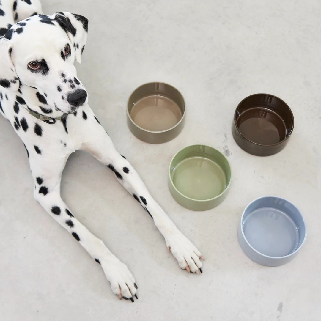 MiaCara-Hundenapf-Scodella-Mood4