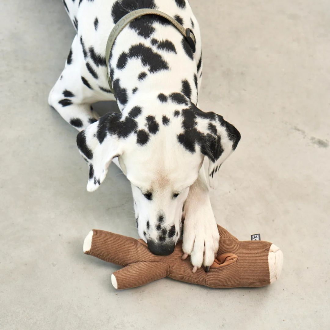 MiaCara-Schnüffelspielzeug-Foresta-Ast-Mood