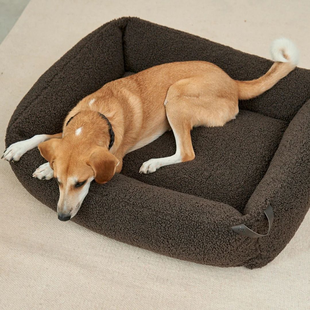 MiaCara-Senso-Hundebett-Box-Bett-Schokolade-Mood3